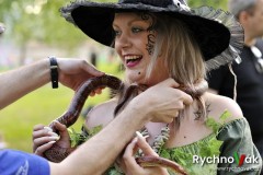 DDM  Slet čarodejnic 2018 - id00023