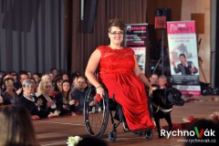 Elegance bez bariér 2017 - id00015