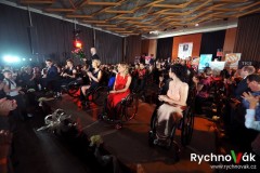 Elegance bez bariér 2017 - id00017