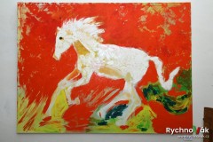 dubanek-na-zemi-i-ne-zemi-31-7-2025-id015