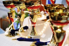 DDM O rychnovský pohárek 2018 - id00013