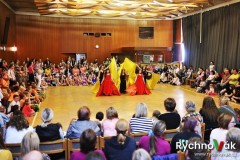 DDM O rychnovský pohárek 2018 - id00116