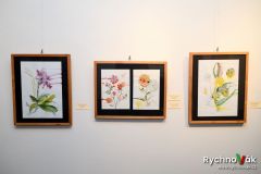 galerie-25-4-2025-id003