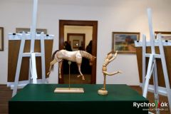 galerie-25-4-2025-id006