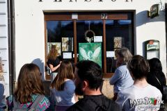 regiland-28-4-2025-id110