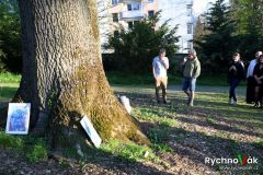 regiland-28-4-2025-id149