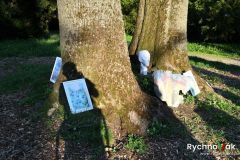 regiland-28-4-2025-id151