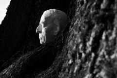 regiland-28-4-2025-id154