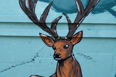 Regiland-grafity-1-5-2025-id016