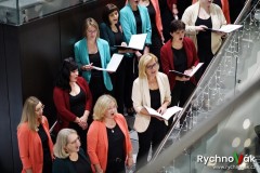 x-tet-petrof-2024-id00001