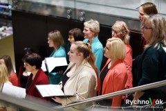 x-tet-petrof-2024-id00004