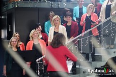 x-tet-petrof-2024-id00008