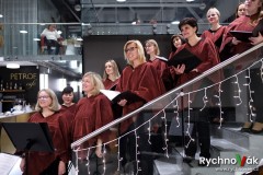 x-tet-petrof-2024-id00041