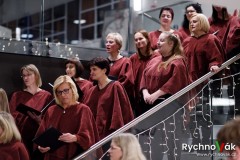 x-tet-petrof-2024-id00045