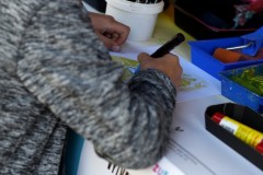 zus-open-neratov-25-5-2025-id056