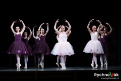zus-tanecni-vystoupeni-26-5-2025-id073
