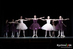 zus-tanecni-vystoupeni-26-5-2025-id077